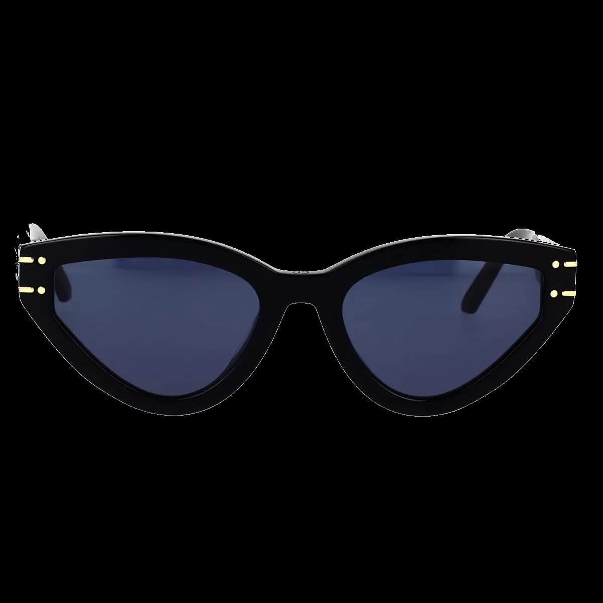 Diorsignature B2U 10B0