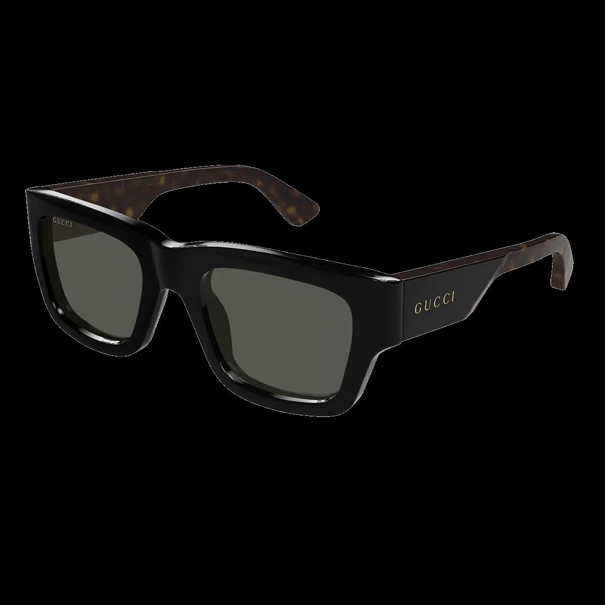 GG1668S 001
