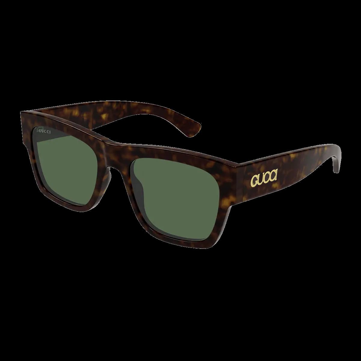 GG1793S 002