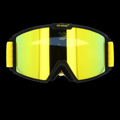 Ski Goggle 11818